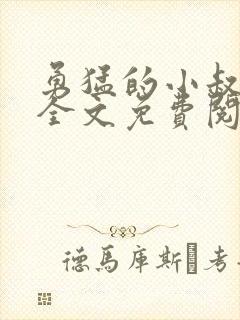 勇猛的小叔小说全文免费阅读