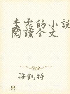 李霖的小说免费阅读全文封面