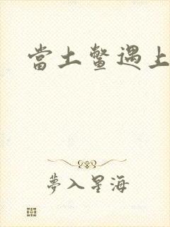 当土鳖遇上海龟封面