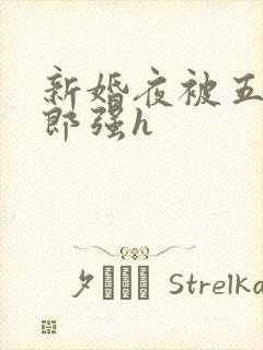 新婚夜被五个伴郎强h