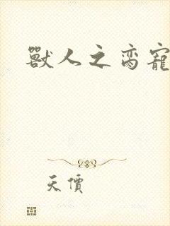 兽人之脔宠封面