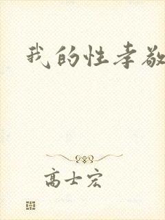 我的性孝敬封面