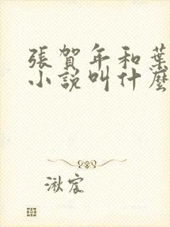 张贺年和叶繁姿小说叫什么名字