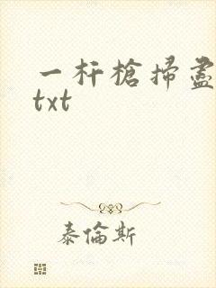 一杆枪扫尽全家txt封面