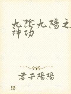 九阴九阳之阴阳神功
