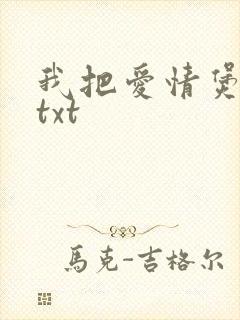 我把爱情煲成汤txt