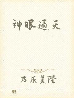 神眼通天封面