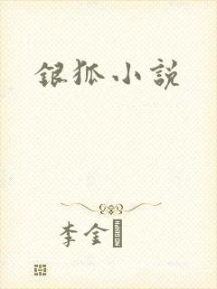 银狐小说