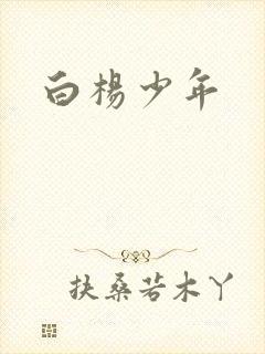 白杨少年封面