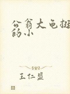 公翁大龟挺进我的小