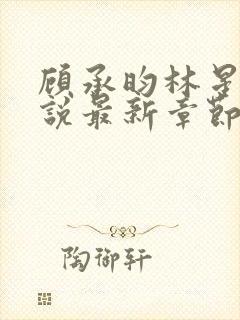 顾承昀林星禾小说最新章节免费阅读封面