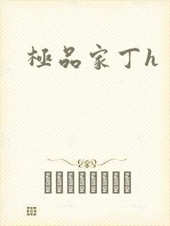 极品家丁h封面