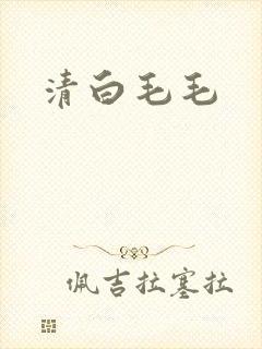 清白毛毛