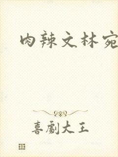 肉辣文林宛宛封面