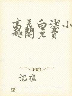 高义白洁小说笔趣阁免费封面