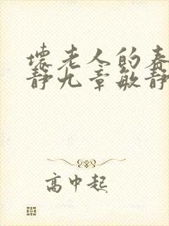 坏老人的春天敏静九章敏静