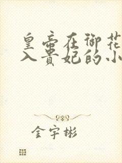 皇帝在御花园进入贵妃的小说封面