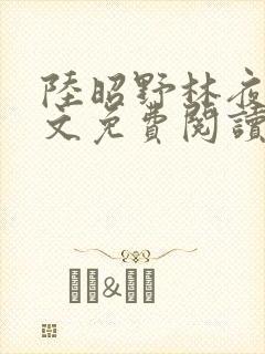 陆昭野林夜棠全文免费阅读最新章节封面