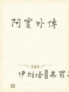 阿宾外传