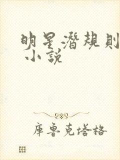 明星潜规则之皇 小说封面