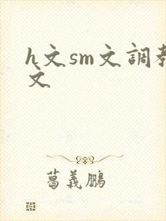 h文sm文调教文
