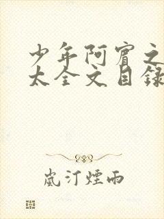 少年阿宾之房东太全文目录封面