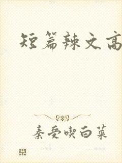 短篇辣文高h封面