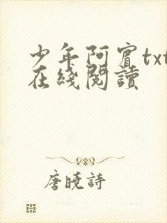 少年阿宾txt在线阅读封面