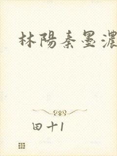 林阳秦墨浓度封面