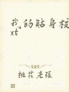 我的贴身校花txt