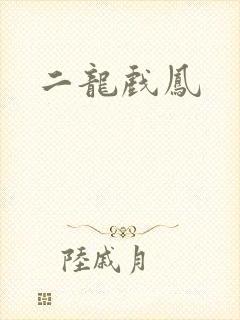 二龙戏凤封面