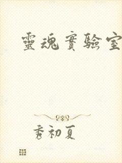 灵魂实验室封面