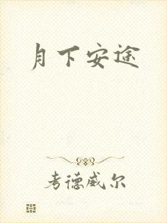 月下安途