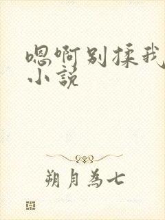 嗯啊别揉我奶头小说封面