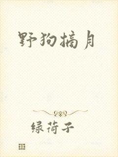 野狗摘月