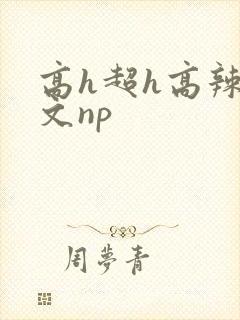 高h超h高辣h文np