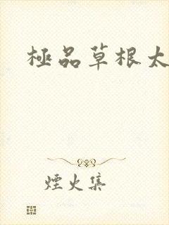 极品草根太子