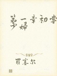 第一章初尝极品少妇