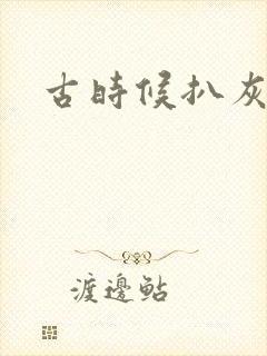 古时候扒灰小说封面