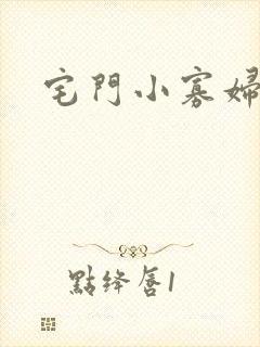 宅门小寡妇