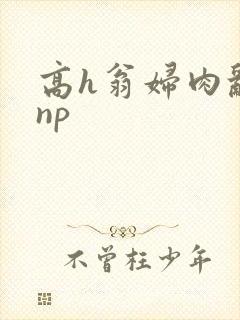 高h翁妇肉乱文np