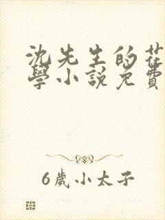 沈先生的花式教学小说免费