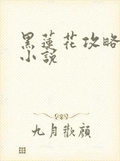 黑莲花攻略手册小说