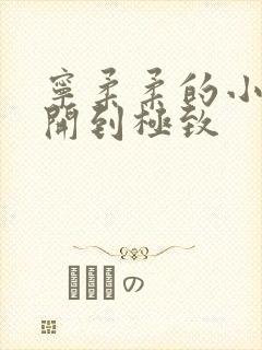 宁柔柔的小泬撑开到极致