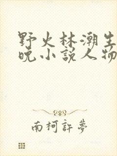 野火林潮生林晚晚小说人物野火