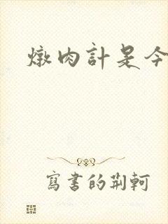 炖肉计是今海棠封面