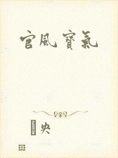 官风宝气封面