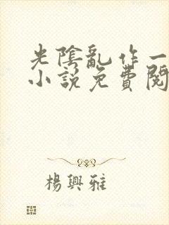 光阴乱作一团的小说免费阅读