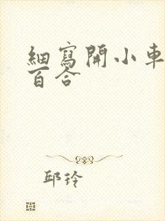 细写开小车车的百合封面