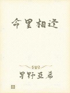 命里相逢封面